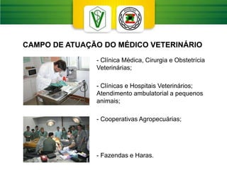 - Clínica Médica, Cirurgia e Obstetrícia
Veterinárias;
- Clínicas e Hospitais Veterinários;
Atendimento ambulatorial a pequenos
animais;
- Cooperativas Agropecuárias;
- Fazendas e Haras.
CAMPO DE ATUAÇÃO DO MÉDICO VETERINÁRIO
 
