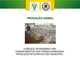 O MÉDICO VETERINÁRIO TEM
CONHECIMENTOS QUE PODEM AUMENTAR A
PRODUÇÃO PECUÁRIA DO SEU MUNICÍPIO.
PRODUÇÃO ANIMAL
 