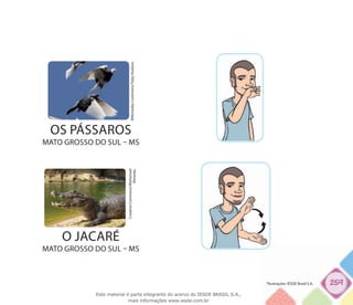 259
CreativeCommons/Muhamed
Almeida.
O JACARÉ
mato grosso do sul – ms
OS PÁSSAROS
mato grosso do sul – ms
WikimediaCommons/TobyHudson.
*Ilustrações: IESDE Brasil S.A.
Este material é parte integrante do acervo do IESDE BRASIL S.A.,
mais informações www.iesde.com.br
 