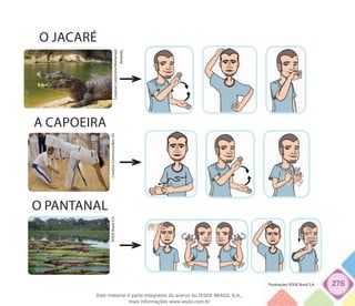 275
O JACARÉ
CreativeCommons/Muhamed
Almeida.
A CAPOEIRA
CreativeCommons/Ben30.
O PANTANAL
IESDEBrasilS.A.
*Ilustrações: IESDE Brasil S.A.
Este material é parte integrante do acervo do IESDE BRASIL S.A.,
mais informações www.iesde.com.br
 