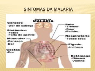 SINTOMAS DA MALÁRIA

Elaborado pela ASB Andressa

13

 