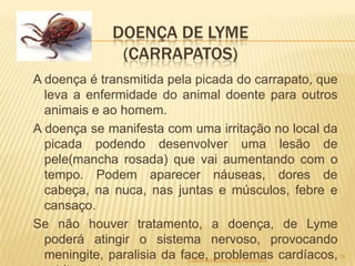 DOENÇA DE LYME
(CARRAPATOS)
A doença é transmitida pela picada do carrapato, que
leva a enfermidade do animal doente para outros
animais e ao homem.
A doença se manifesta com uma irritação no local da
picada podendo desenvolver uma lesão de
pele(mancha rosada) que vai aumentando com o
tempo. Podem aparecer náuseas, dores de
cabeça, na nuca, nas juntas e músculos, febre e
cansaço.
Se não houver tratamento, a doença, de Lyme
poderá atingir o sistema nervoso, provocando
meningite, paralisia da face, problemas cardíacos, 15
Elaborado pela ASB Andressa

 