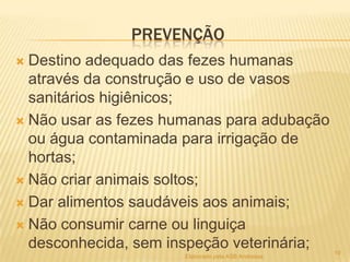PREVENÇÃO
Destino adequado das fezes humanas
através da construção e uso de vasos
sanitários higiênicos;
 Não usar as fezes humanas para adubação
ou água contaminada para irrigação de
hortas;
 Não criar animais soltos;
 Dar alimentos saudáveis aos animais;
 Não consumir carne ou linguiça
desconhecida, sem inspeção veterinária;


Elaborado pela ASB Andressa

19

 