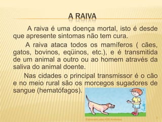 A RAIVA
A raiva é uma doença mortal, isto é desde
que apresente sintomas não tem cura.
A raiva ataca todos os mamíferos ( cães,
gatos, bovinos, eqüinos, etc.), e é transmitida
de um animal a outro ou ao homem através da
saliva do animal doente.
Nas cidades o principal transmissor é o cão
e no meio rural são os morcegos sugadores de
sangue (hematófagos).

Elaborado pela ASB Andressa

3

 