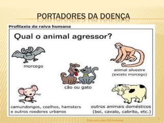 PORTADORES DA DOENÇA

Elaborado pela ASB Andressa

4

 