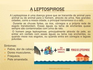 A LEPTOSPIROSE
A Leptospirose é uma doença grave que se transmite de animal para
animal ou de animal para o homem, através da urina. Nas grandes
cidades, como a nossa cidade, o principal transmissor é o rato.
Durante as chuvas fortes, os rios, córregos e a própria rede de
esgoto transbordam. Essas águas ou lama de enchentes quase
sempre são contaminadas com urina de rato.
O homem pega leptospirose, principalmente através da pele, ao
entrar em contato com essas águas ou lama nas enchentes, ou
quando mexe nos esgotos, ou quando entra em córregos e lagoas
poluídas.

Sintomas:
 Febre, dor de cabeça,
 Dores musculares,
 Fraqueza,
 Pele amarelada.
Elaborado pela ASB Andressa

6

 