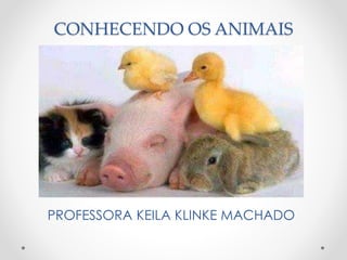 CONHECENDO OS ANIMAIS 
PROFESSORA KEILA KLINKE MACHADO 
 