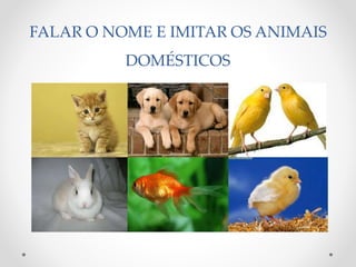 FALAR O NOME E IMITAR OS ANIMAIS 
DOMÉSTICOS 
 