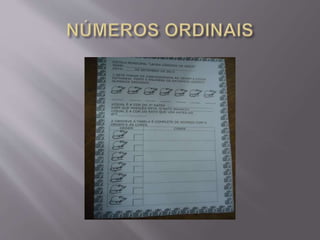 CONHECENDO OS NÚMEROS