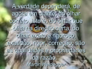 A verdade dependerá, de agora em diante, do olhar correto, isto é, do olhar que olha na direção certa, do olhar exato e rigoroso, exatidão, rigor, correção, são as qualidades e propriedades da razão.   Martin Heidegger 