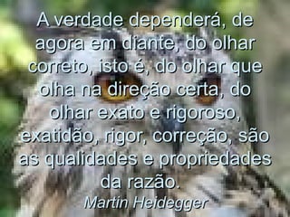 A verdade dependerá, deA verdade dependerá, de
agora em diante, do olharagora em diante, do olhar
correto, isto é, do olhar quecorreto, isto é, do olhar que
olha na direção certa, doolha na direção certa, do
olhar exato e rigoroso,olhar exato e rigoroso,
exatidão, rigor, correção, sãoexatidão, rigor, correção, são
as qualidades e propriedadesas qualidades e propriedades
da razão.da razão.
Martin HeideggerMartin Heidegger
 