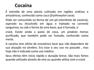 Cocaína
É extraída de uma planta cultivada em regiões andinas e
amazônicas, conhecida como coca (Erythroxylon coca).
Pode ser consumida na forma de um pó (cloridrato de cocaína),
aspirado ou dissolvido em água e injetado na corrente
sanguínea, ou sob a forma de uma base, que é fumada, o
crack. Existe ainda a pasta de coca, um produto menos
purificado, que também pode ser fumado, conhecido como
merla.
A cocaína tem efeito de anestésico local que não dependem de
sua atuação no cérebro. Era esse o seu uso no passado , mas
hoje não é indicada como uso médico.
Seus efeitos têm início rápido e duração breve. São mais fortes
quando utilizado através da veia ou quando utiliza com o crack.
 