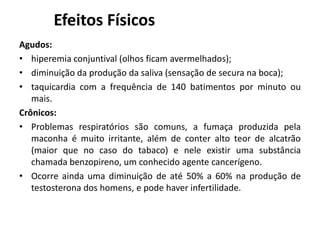 Efeitos Físicos
Agudos:
• hiperemia conjuntival (olhos ficam avermelhados);
• diminuição da produção da saliva (sensação de secura na boca);
• taquicardia com a frequência de 140 batimentos por minuto ou
mais.
Crônicos:
• Problemas respiratórios são comuns, a fumaça produzida pela
maconha é muito irritante, além de conter alto teor de alcatrão
(maior que no caso do tabaco) e nele existir uma substância
chamada benzopireno, um conhecido agente cancerígeno.
• Ocorre ainda uma diminuição de até 50% a 60% na produção de
testosterona dos homens, e pode haver infertilidade.
 