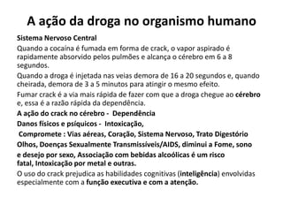 A ação da droga no organismo humano
Sistema Nervoso Central
Quando a cocaína é fumada em forma de crack, o vapor aspirado é
rapidamente absorvido pelos pulmões e alcança o cérebro em 6 a 8
segundos.
Quando a droga é injetada nas veias demora de 16 a 20 segundos e, quando
cheirada, demora de 3 a 5 minutos para atingir o mesmo efeito.
Fumar crack é a via mais rápida de fazer com que a droga chegue ao cérebro
e, essa é a razão rápida da dependência.
A ação do crack no cérebro - Dependência
Danos físicos e psíquicos - Intoxicação,
Compromete : Vias aéreas, Coração, Sistema Nervoso, Trato Digestório
Olhos, Doenças Sexualmente Transmissíveis/AIDS, diminui a Fome, sono
e desejo por sexo, Associação com bebidas alcoólicas é um risco
fatal, Intoxicação por metal e outras.
O uso do crack prejudica as habilidades cognitivas (inteligência) envolvidas
especialmente com a função executiva e com a atenção.
 