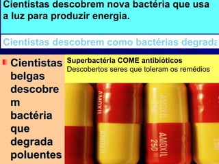 Cientistas belgas descobrem bactéria que degrada poluentes Superbactéria COME antibióticos Descobertos seres que toleram os remédios Cientistas descobrem nova bactéria que usa a luz para produzir energia. Cientistas descobrem como bactérias degradam componente da nicotina 