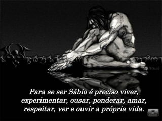 Para se ser Sábio é preciso viver, experimentar, ousar, ponderar, amar, respeitar, ver e ouvir a própria vida. 