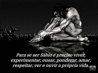 Para se ser Sábio é preciso viver,
experimentar, ousar, ponderar, amar,
respeitar, ver e ouvir a própria vida.
 