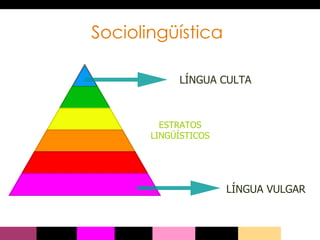 Sociolingüística LÍNGUA CULTA LÍNGUA VULGAR ESTRATOS LINGÜÍSTICOS 