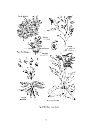 Fig. 6-15 Folhas comestíveis




        122
 