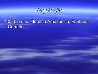 Vegetação
 03 biomas: Floresta Amazônica, Pantanal,
Cerrado.

 