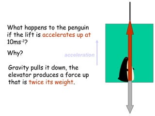 What happens to the penguin
if the lift is accelerates up at
10ms-2?
Why?

acceleration

Gravity pulls it down, the
elevator produces a force up
that is twice its weight.

 