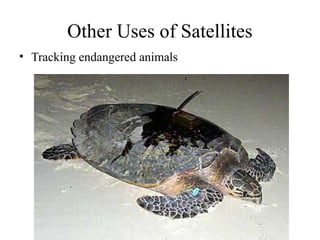 Other Uses of Satellites
• Tracking endangered animals

 