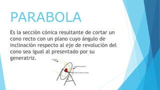 PARABOLA
Es la sección cónica resultante de cortar un
cono recto con un plano cuyo ángulo de
inclinación respecto al eje de revolución del
cono sea igual al presentado por su
generatriz.