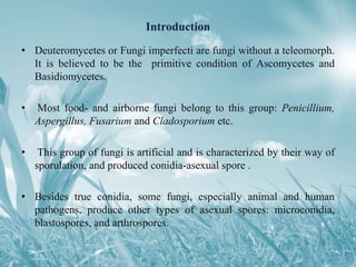 Introduction
• Deuteromycetes or Fungi imperfecti are fungi without a teleomorph.
It is believed to be the primitive condition of Ascomycetes and
Basidiomycetes.
• Most food- and airborne fungi belong to this group: Penicillium,
Aspergillus, Fusarium and Cladosporium etc.
• This group of fungi is artificial and is characterized by their way of
sporulation, and produced conidia-asexual spore .
• Besides true conidia, some fungi, especially animal and human
pathogens, produce other types of asexual spores: microconidia,
blastospores, and arthrospores.
 