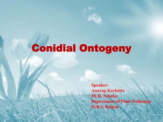 Conidial Ontogeny
Speaker:
Anurag Kerketta
Ph.D. Scholar
Department of Plant Pathology
IGKV, Raipur
 