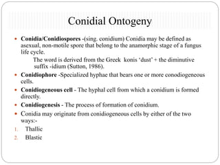 Conidial ontogeny akanksha | PPT