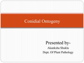 Presented by-
Akanksha Shukla
Dept. Of Plant Pathology
Conidial Ontogeny
 