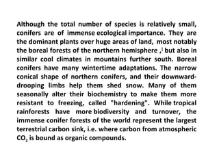Although the total number of species is relatively small,
conifers are of immense ecological importance. They are
the dominant plants over huge areas of land, most notably
the boreal forests of the northern hemisphere ,[
but also in
similar cool climates in mountains further south. Boreal
conifers have many wintertime adaptations. The narrow
conical shape of northern conifers, and their downward-
drooping limbs help them shed snow. Many of them
seasonally alter their biochemistry to make them more
resistant to freezing, called "hardening". While tropical
rainforests have more biodiversity and turnover, the
immense conifer forests of the world represent the largest
terrestrial carbon sink, i.e. where carbon from atmospheric
CO2 is bound as organic compounds.
 