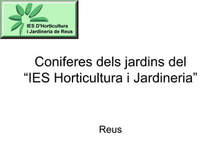 Coniferes dels jardins del “IES Horticultura i Jardineria” Reus 