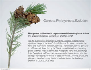 Genetics, Phylogenetics, Evolution


                     Have genetic studies on this organism revealed new insights as to how
                     this organism is related to members of other phyla?

                     Yes, the diversiﬁcation of Conifers during the Mesozoic helps to mark a
                     signiﬁcant change in the world's ﬂora. Paleozoic ﬂora was dominated by
                     ferns and clubmosses (Paleophytic ﬂora). The Paleophytic ﬂora gave way
                     to a Mesophytic ﬂora during the Triassic period. Woody seed-bearing
                     plants and their relatives dominated Mesophytic ﬂora. Thus, the change
                     from Paleophytic to Mesophytic represented a change in reproductive
                     strategy; from spore producers to seed producers. Conifers, cycads, and
                     ginkgoes diversiﬁed during this time and dominated the landscape
                     (Kenrick & Davis, 2004, p. 143).


Monday, May 21, 12                                                                             10
 