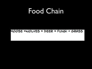 Food Chain