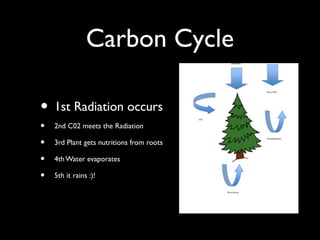 Carbon Cycle
• 1st Radiation occurs
• 2nd C02 meets the Radiation
• 3rd Plant gets nutritions from roots
• 4th Water evaporates
• 5th it rains :)!