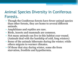 Animal Species Diversity in Coniferous
Forests.
• Though the Coniferous forests have fewer animal species
than other forests, they are home to several different
animals.
• Amphibians and reptiles are rare.
• Birds, insects and mammals are common.
• Not many animals can live in this habitat year-round.
(Animals deal with the hardship of cold, long winters)
• Some of the animals hibernate during the winter; while
others migrate to warmer climates.
• Of those that stay during winter, some die from
starvation, frostbite and hypothermia.
 