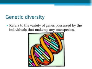 Genetic diversity
• Refers to the variety of genes possessed by the
individuals that make up any one species.
 