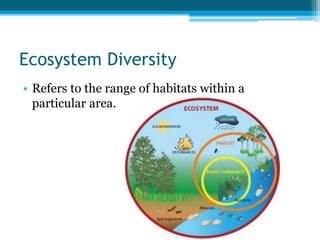 Ecosystem Diversity
• Refers to the range of habitats within a
particular area.
 