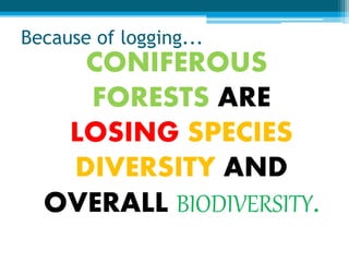 Because of logging...
CONIFEROUS
FORESTS ARE
LOSING SPECIES
DIVERSITY AND
OVERALL BIODIVERSITY.
 