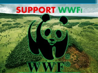 SUPPORT WWF!
 