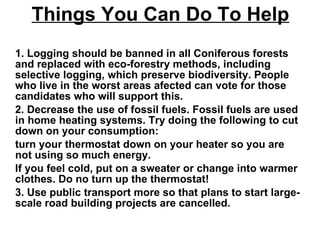 Things You Can Do To Help 1. Logging should be banned in all Coniferous forests and replaced with eco-forestry methods, including selective logging, which preserve biodiversity. People who live in the worst areas afected can vote for those candidates who will support this.    2. Decrease the use of fossil fuels. Fossil fuels are used in home heating systems. Try doing the following to cut down on your consumption:   turn your thermostat down on your heater so you are not using so much energy.   If you feel cold, put on a sweater or change into warmer clothes. Do no turn up the thermostat!   3. Use public transport more so that plans to start large-scale road building projects are cancelled.   