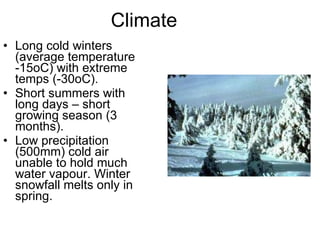 Climate Long cold winters (average temperature  -15oC) with extreme temps (-30oC). Short summers with long days – short growing season (3 months). Low precipitation (500mm) cold air unable to hold much water vapour. Winter snowfall melts only in spring. 