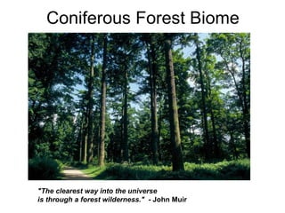 Coniferous Forest Biome &quot;The clearest way into the universe is through a forest wilderness.&quot;  - John Muir    