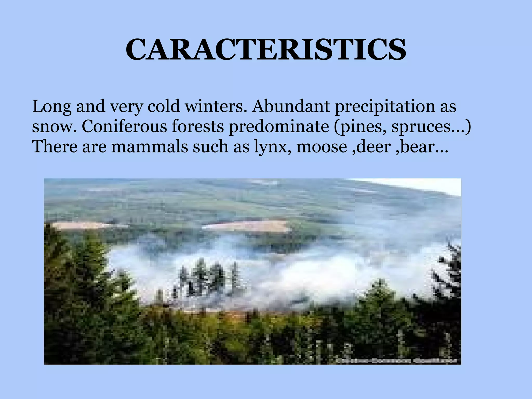 CARACTERISTICS Long and very cold winters. Abundant precipitation as snow. Coniferous forests predominate (pines, spruces…) There are mammals such as lynx, moose ,deer ,bear… 