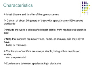 Characteristics
 Most diverse and familiar of the gymnosperms

 Consist of about 50 genera of trees with approximately 550 species
worldwide

Include the world’s tallest and largest plants; from moderate to gigantic
size

Note that conifers are never vines, herbs, or annuals, and they never
have
 bulbs or rhizomes

The leaves of conifers are always simple, being either needles or
scales,
  and are perennial

Conifers are dominant species at high elevations
 