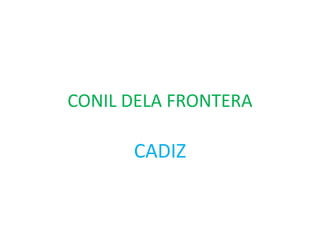 CONIL DELA FRONTERA

CADIZ

 