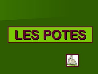 LES POTES 