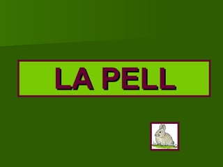 LA PELL 