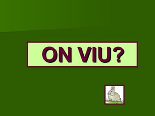 ON VIU? 